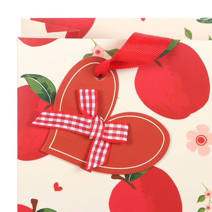 23cm Medium Apple Print Gift Bag