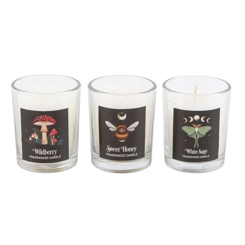 Dark Forest Votive Candle Trio